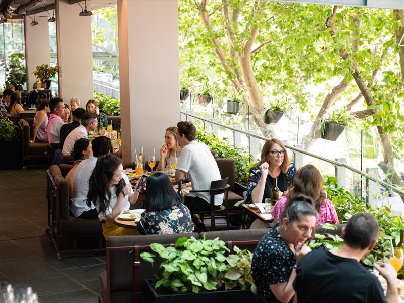 Terrace Bar