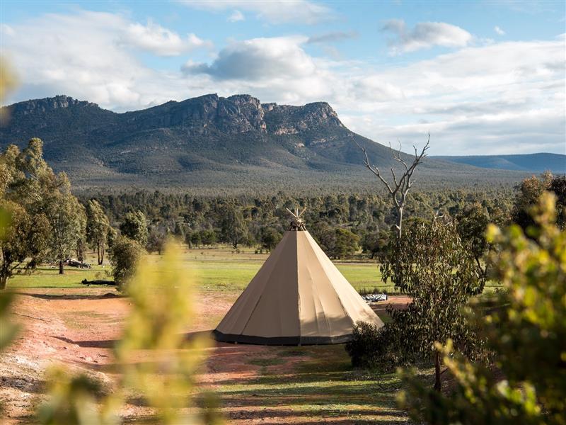 Tipi